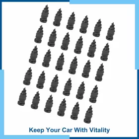 Carpopart 640283854145 Universal Pack 30 Car Tire Repair Rubber Nails
