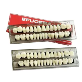Doh-513 Fruta 56 Pieces False Teeth Acrylic Resin Denture Tooth 23 A2