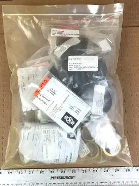 810919 Knorr-bremse Overhaul Kit P/n