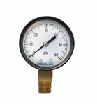2" 0-60PSI .25" Lower Mount Pressure Gauge (aqualine Incorporated PG60). Fixed Price $20.85.
