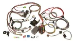 Painless Wiring 60250 Fits Cummins Diesel Engine Harness. Fixed Price $800.00.