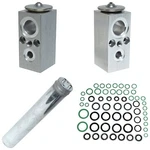 Universal A/c System Repair Kit For Montana, Silhouette AK1283. Fixed Price $80.45.