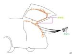 2007 2008 2009 Subaru Outback Rear Lift Gate Harness Cord 81812AG03C Genuine New. Fixed Price $179.99.