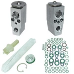 Universal Air Conditioner (uac) AK1891 A/c System Rer Kit Ancillary For Pai. Fixed Price $94.65.
