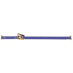 Doleco Blue 2" X 20FT E-track Ratchet Tie Down Strap #33500720. Fixed Price $24.17.
